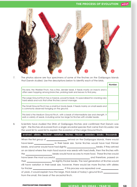 Sample page y10-1
