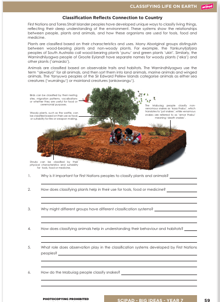 Sample page y7-1